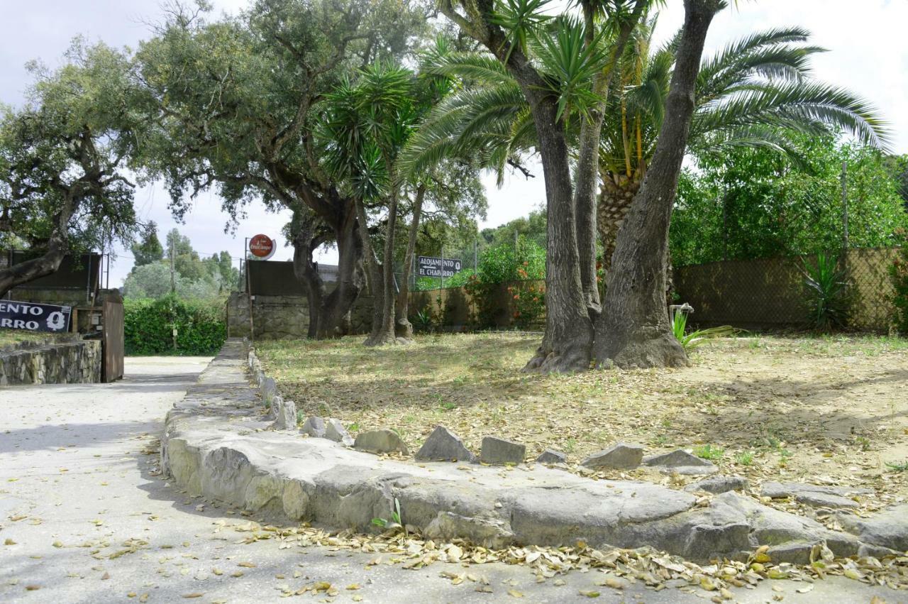 Alojamiento El Chaparro Barbate Junto A La Venta El Loro מראה חיצוני תמונה